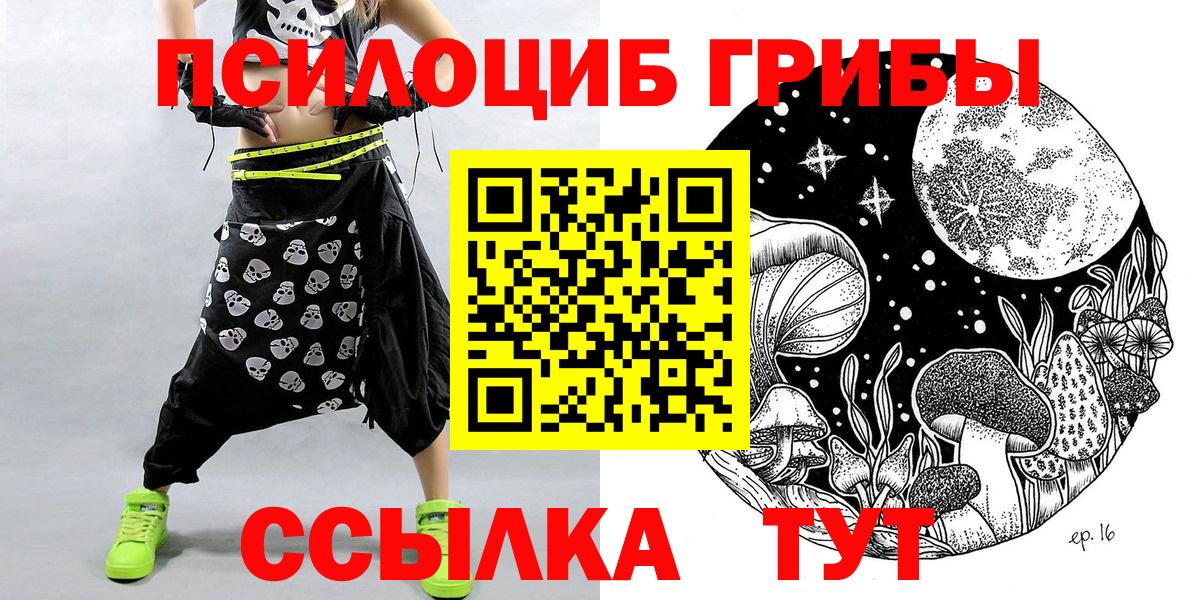 Избербаш  Псилоцибиновые грибы MAGIC MUSHROOMS  Вход с VPN 